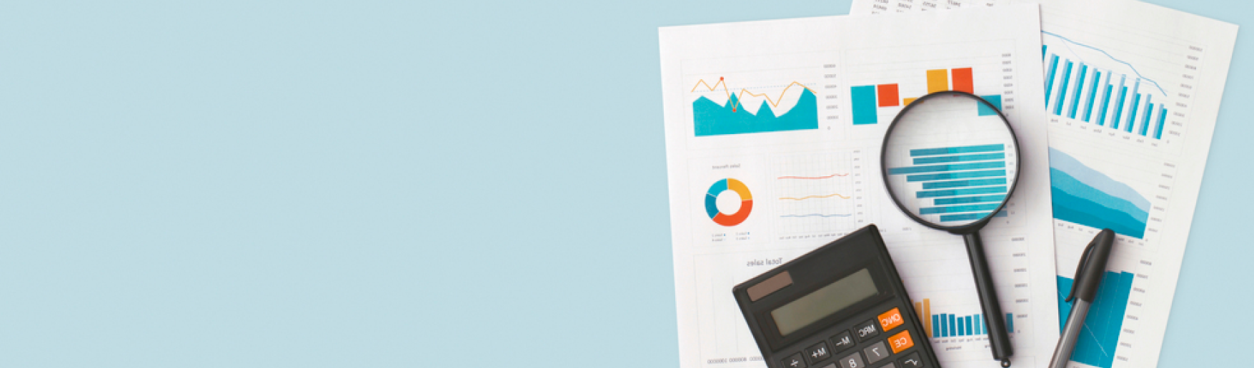 Бухгалтерская и налоговая отчетность